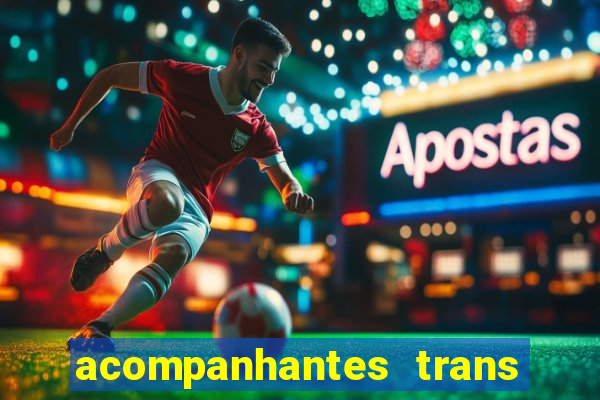 acompanhantes trans porto seguro